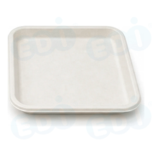 99-02966-10 WP - BAGASSE PLATE SQUARE 10'' (125/500)