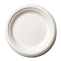 99-02957-10 WP - BAGASSE PLATE ROUND 7'' (125/1000)