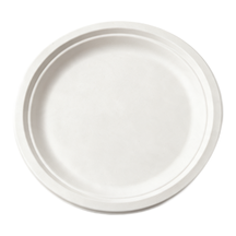 99-02960-10 WP - BAGASSE PLATE ROUND 10'' (125/500)