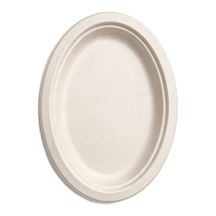 99-02962-10 WP - BAGASSE PLATE OVAL 10'' (125/500)